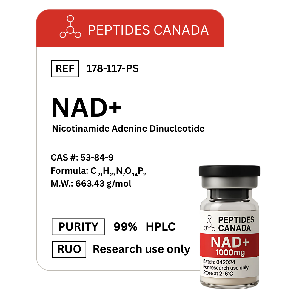 NAD+ (Nicotinamide Adenine Dinucleotide) - 1000mg